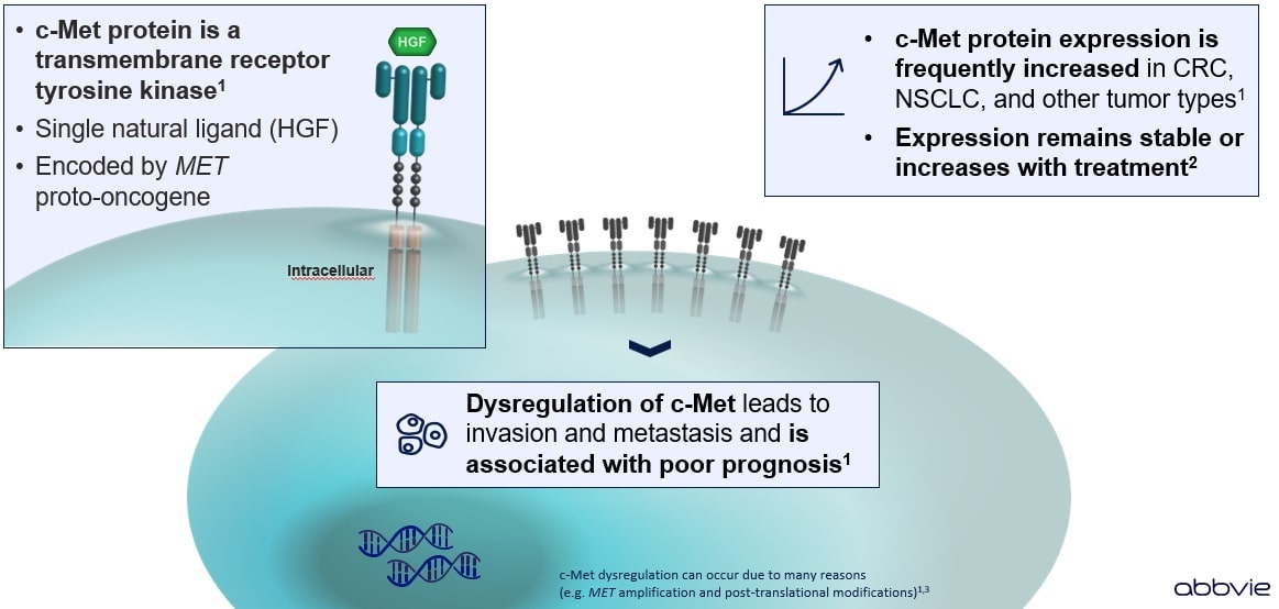 Biomarker Pathways Biomarker Pathways