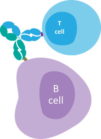 Tumor cell