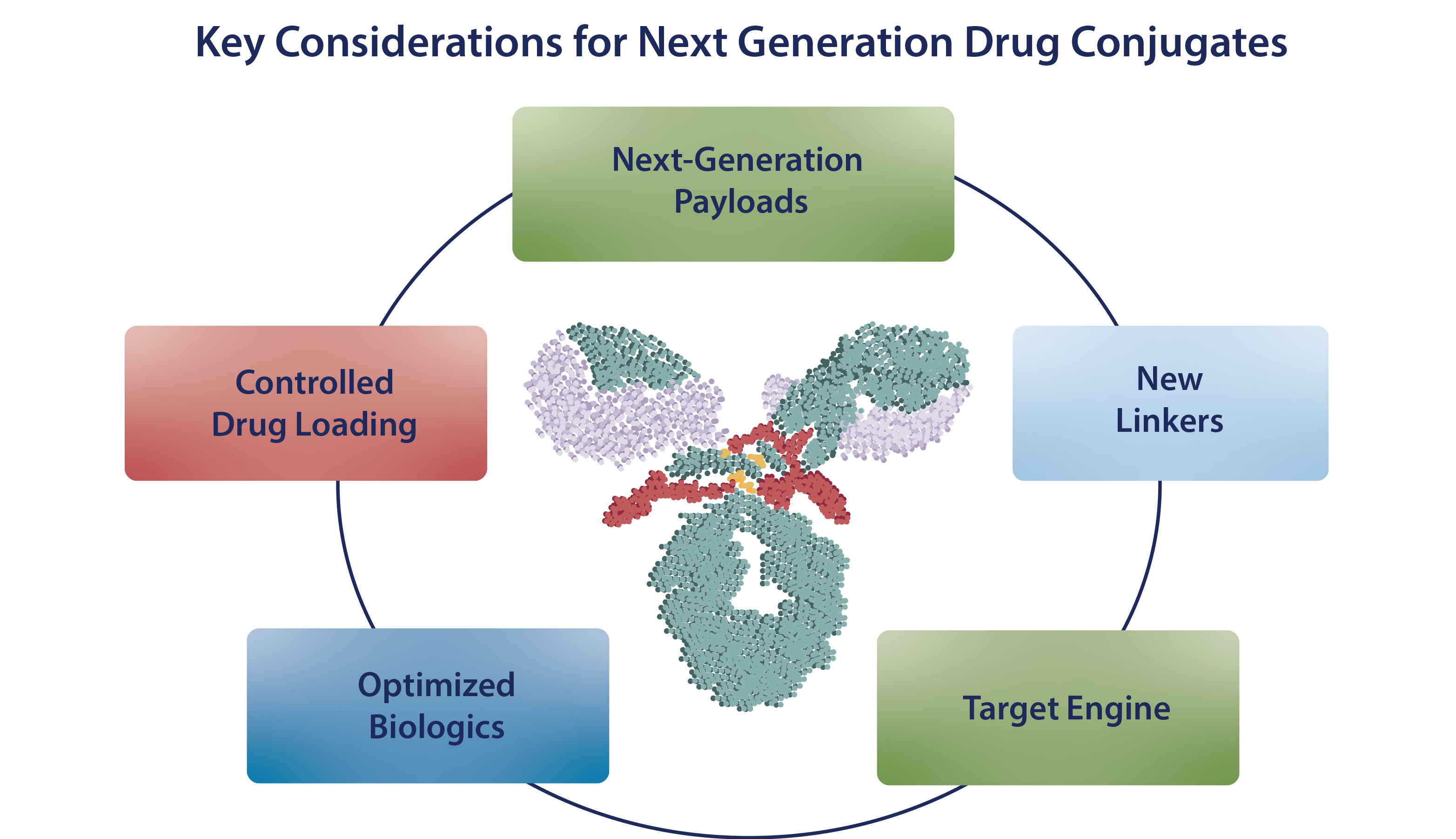 Antibody Drug Conjugates Antibody Drug Conjugates