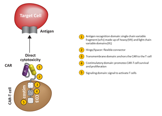 Small Molecules