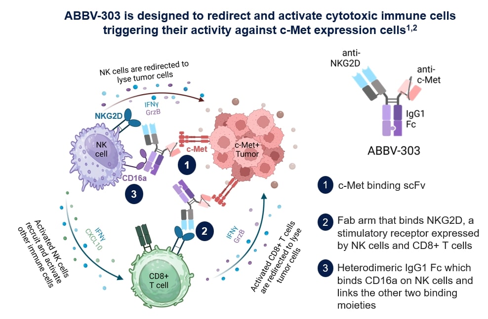 Abbv-303-Overview-image
