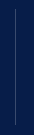 Vertical blue line