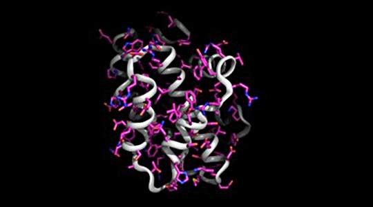 Abbvie Science