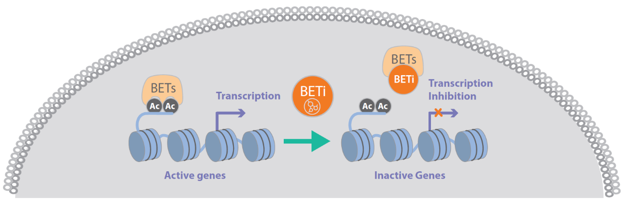 Biomarker Pathways