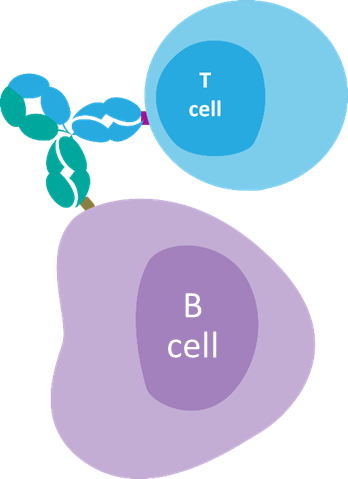 Tumor cell