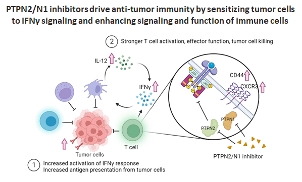 SOLID TUMORS