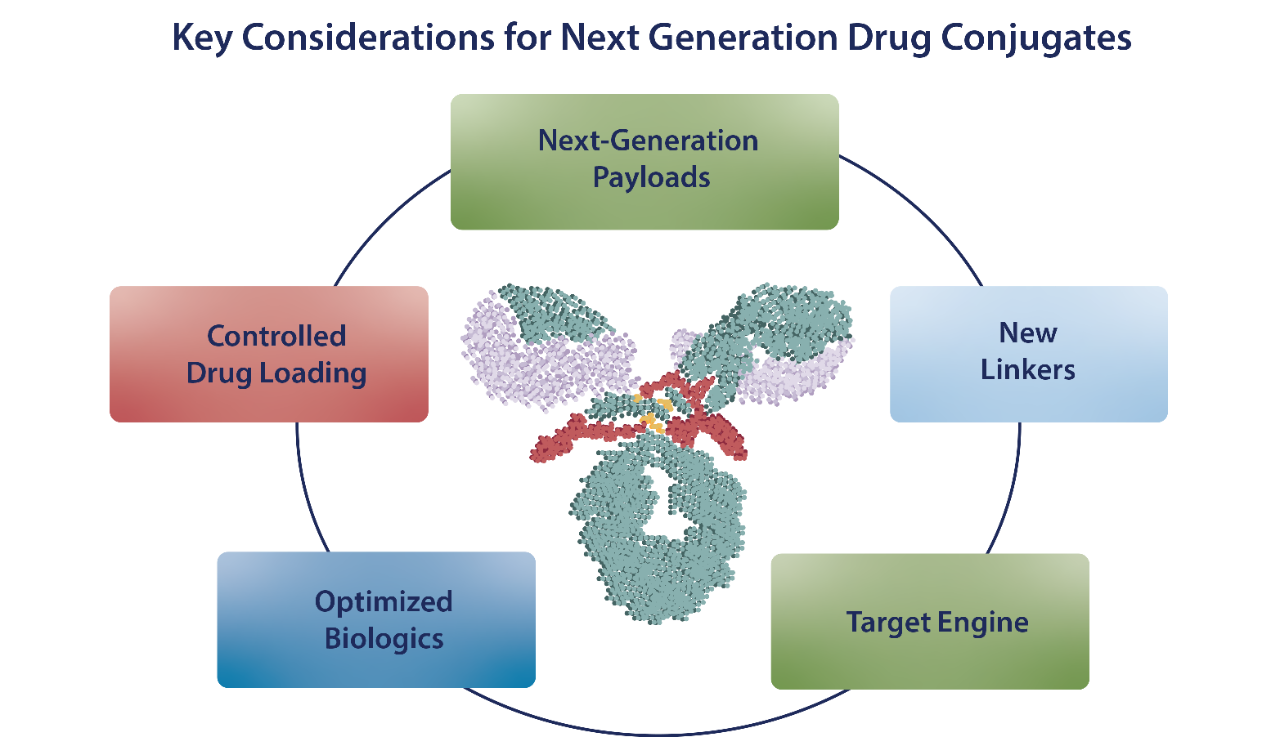 Antibody Drug Conjugates