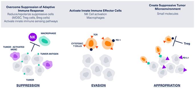 Immuno-Oncology