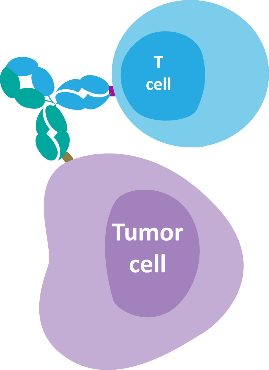 Immuno-Oncology