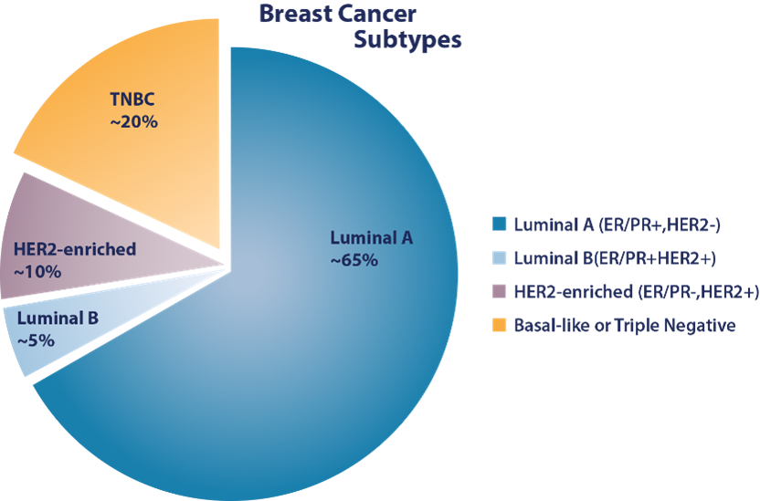 Tumor Types