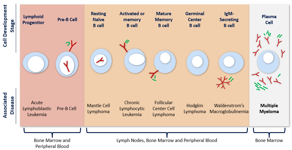 Tumor Types