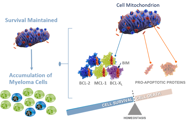 Tumor Types