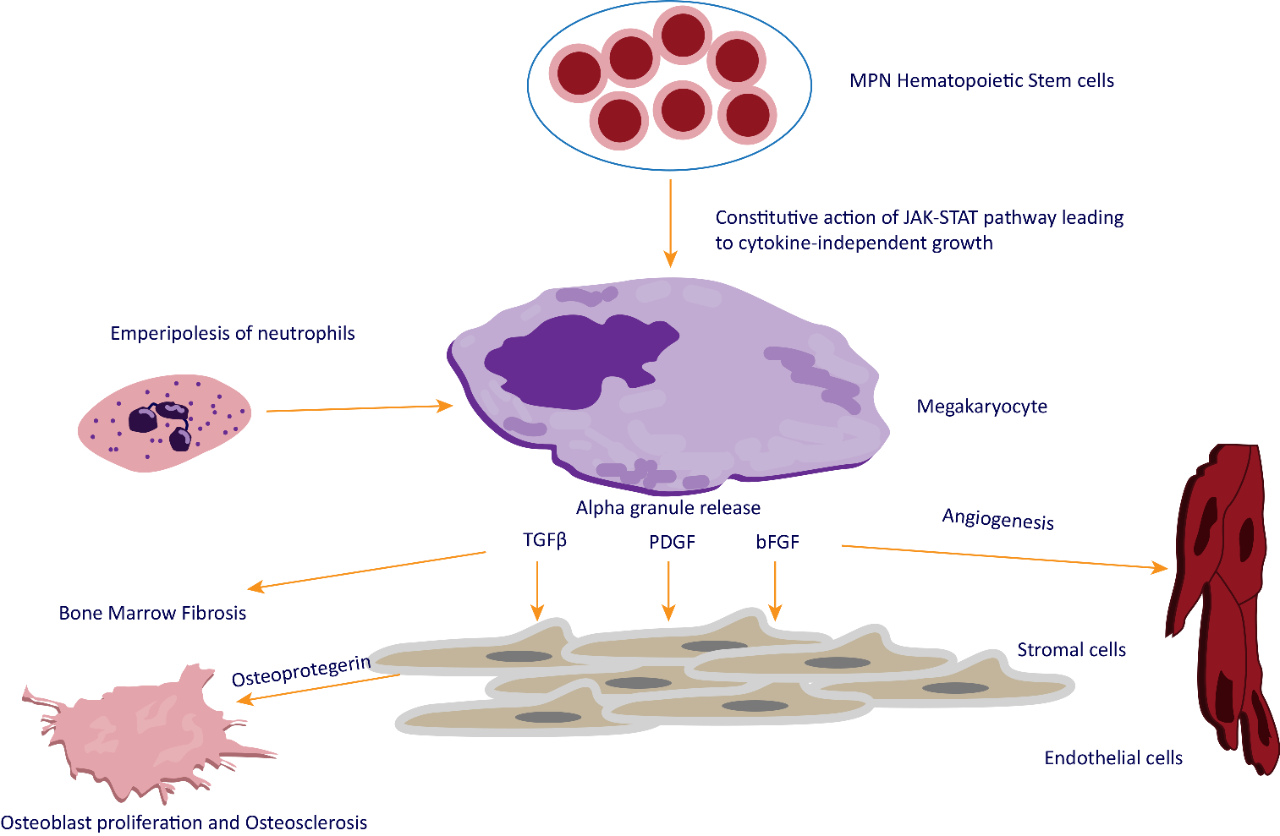 Tumor Types